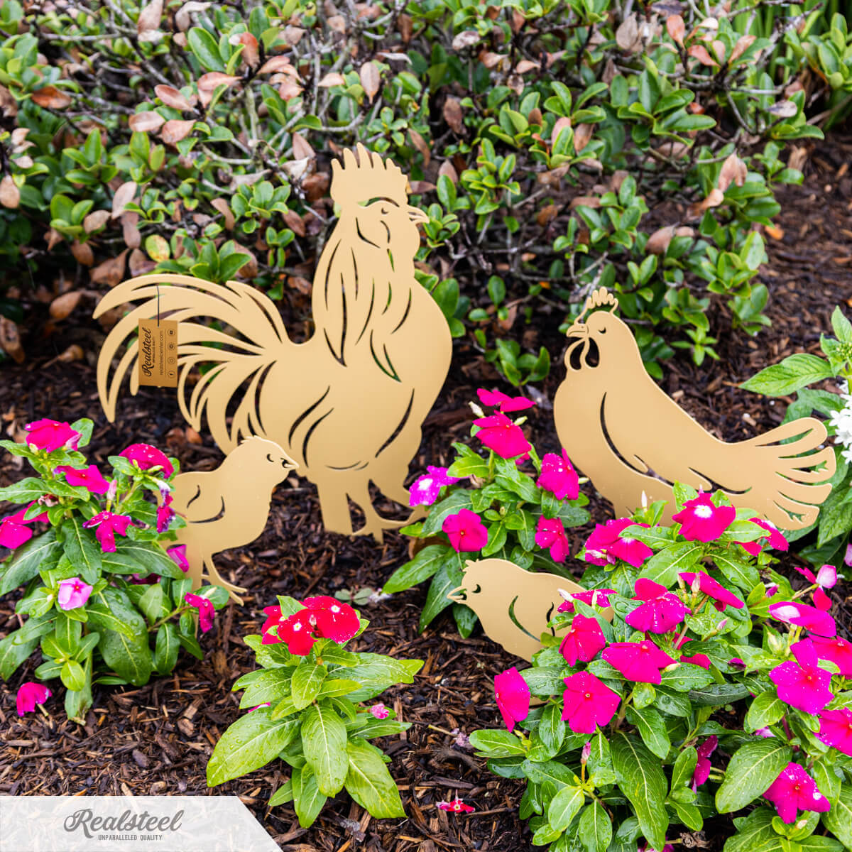 Garden Art - Chickens 4 Pack - Image 5