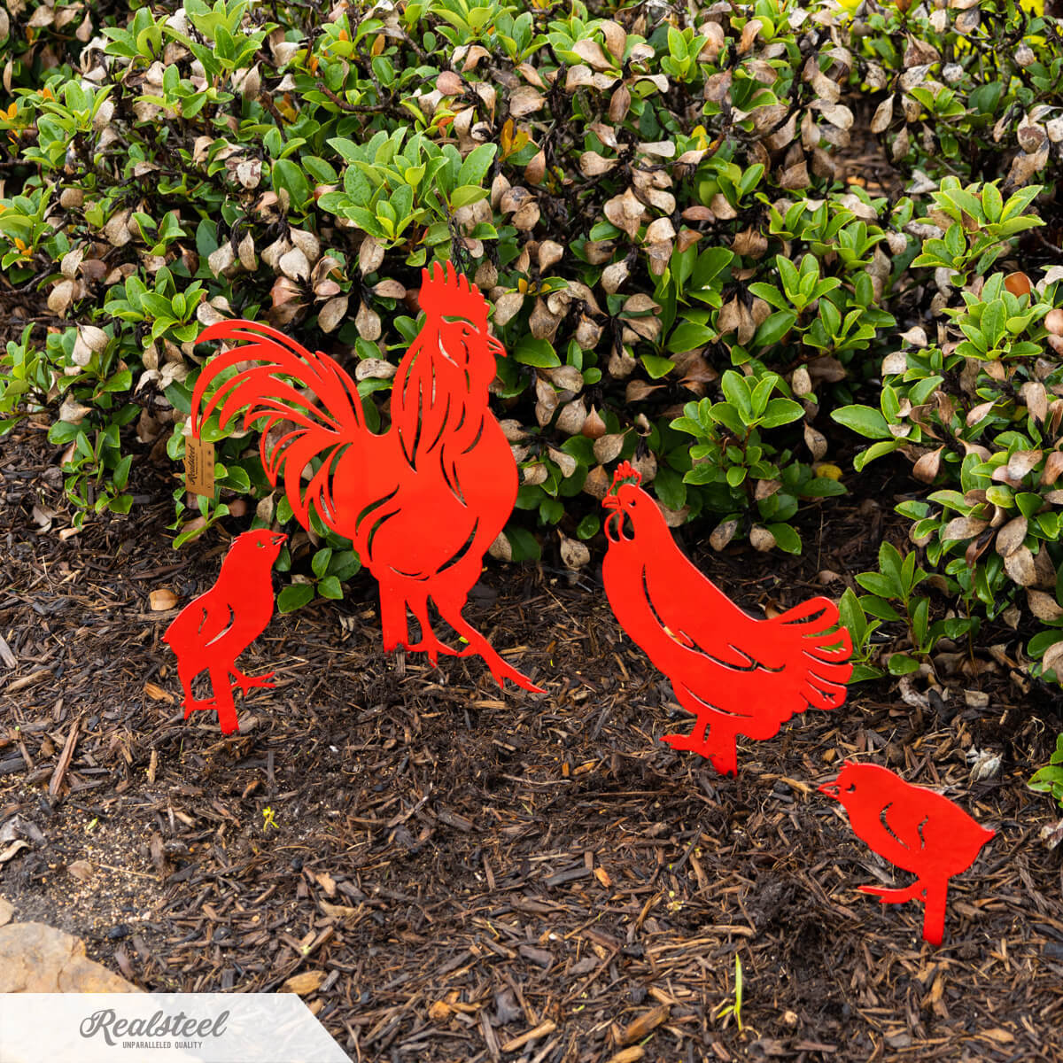 Garden Art - Chickens 4 Pack - Image 6