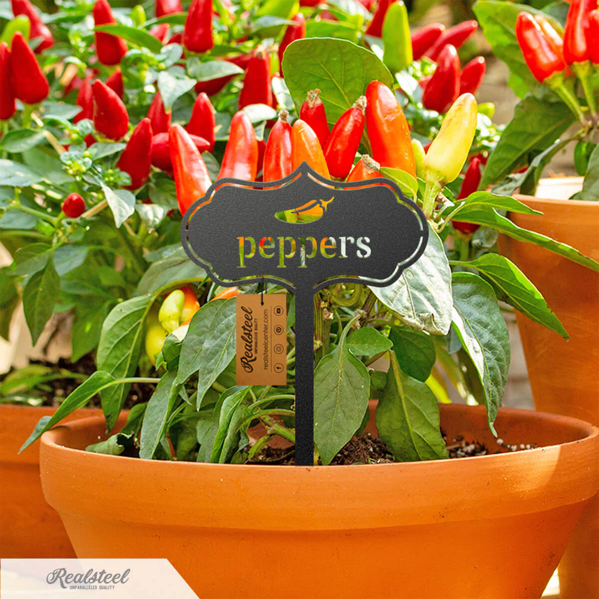 Seed & Plant Markers - Image 4