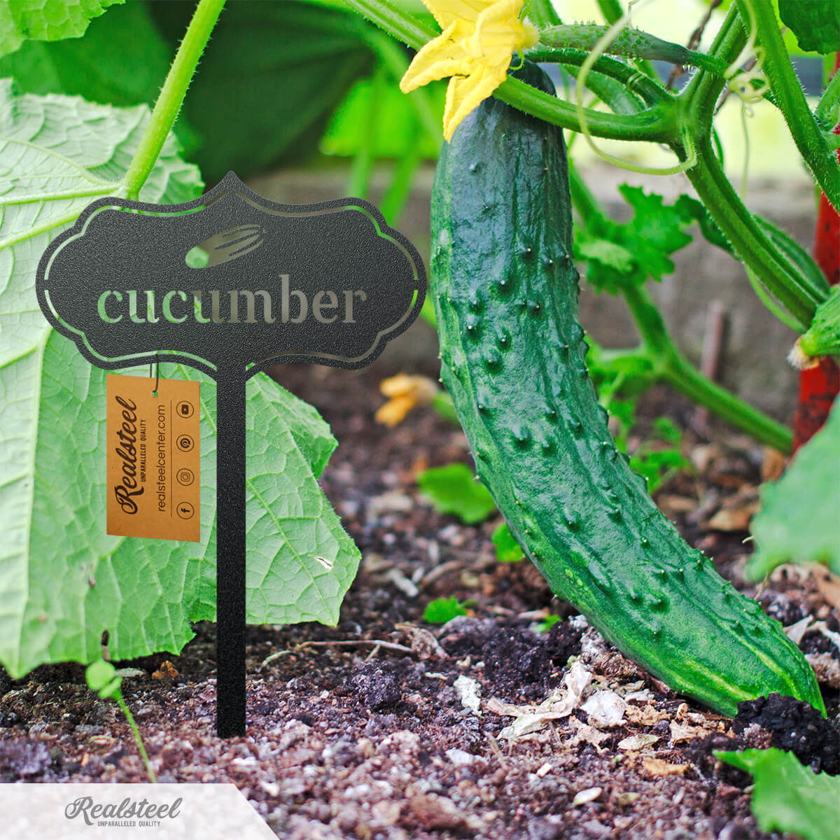 Seed & Plant Markers - Image 5