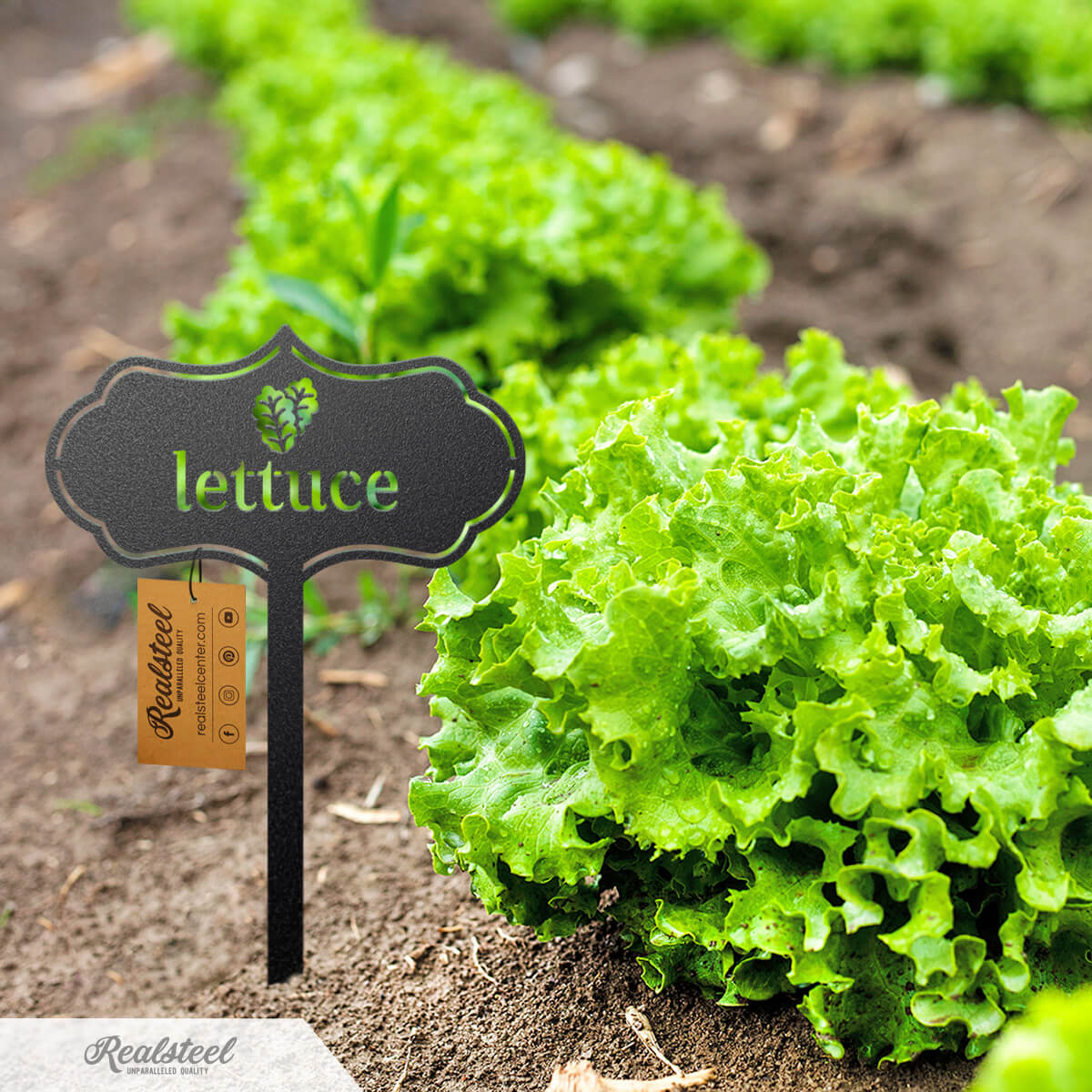 Seed & Plant Markers - Image 6